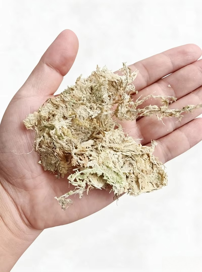 Sphagnum Moss Dry - มอสสฟากนัมคุณภาพสูงสำหรับกล้วยไม้ บล็อกอัด ใช้เป็นวัสดุรองพื้นในตู้เลี้ยงสัตว์เลื้อยคลาน