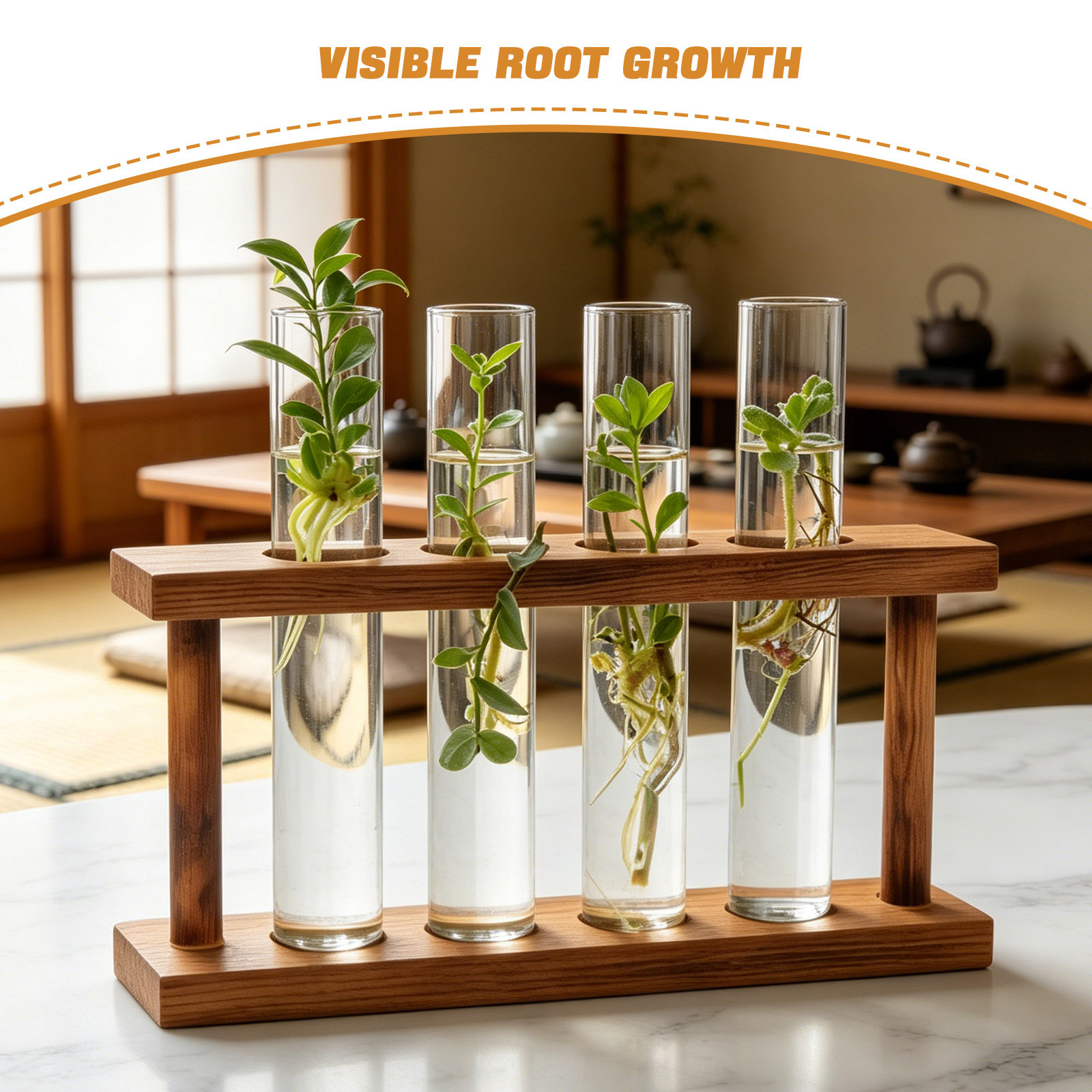 สถานีเพาะพันธุ์พืชไม้ ที่วางแจ - Propagation Station Vase บทวิจารณ์และราคา