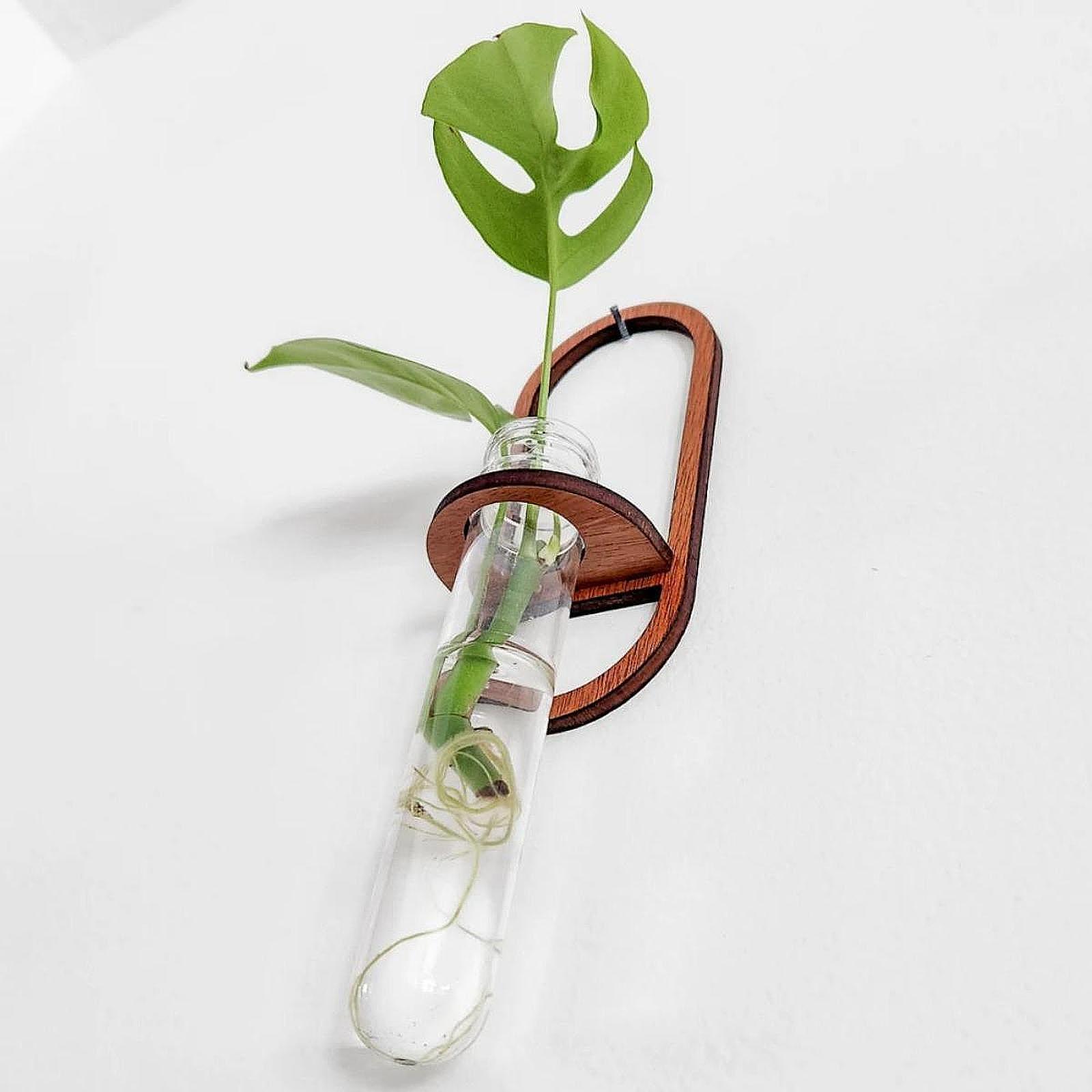 กระถางต้นไม้ไฮโดรโปนิกส์ ชั้นว - Propagation Station Vase บทวิจารณ์และราคา