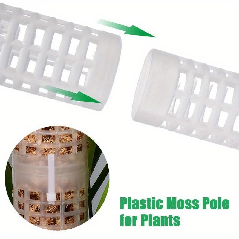 เสาสำหรับพืชเลื้อย ไม้เลื้อยมอ - Sphagnum Moss Dry บทวิจารณ์และราคา