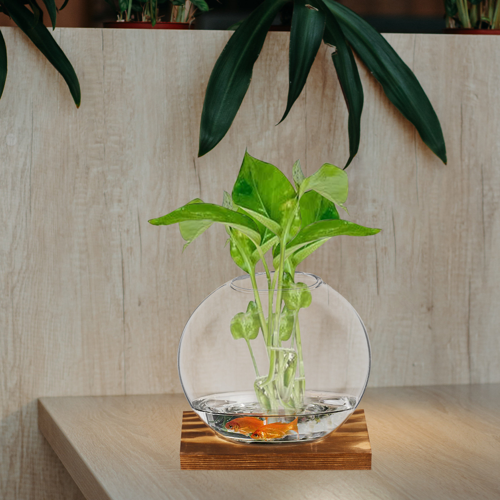 2 ชุด แจกันแก้วขนาดเล็กสำหรับป - Propagation Station Vase บทวิจารณ์และราคา