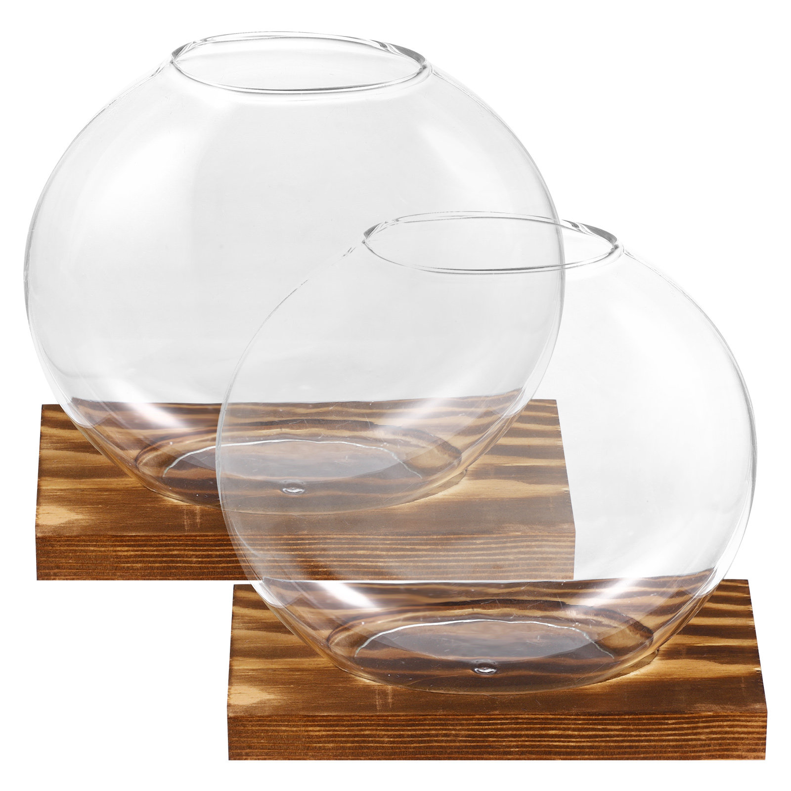 2 ชุด แจกันแก้วขนาดเล็กสำหรับป - Propagation Station Vase บทวิจารณ์และราคา